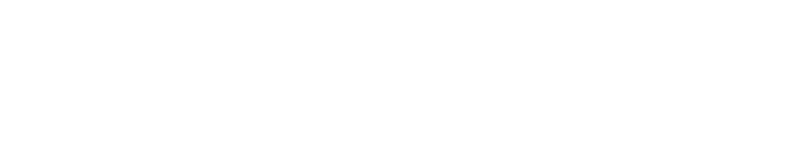 FPGA Horizons Official Merch Store